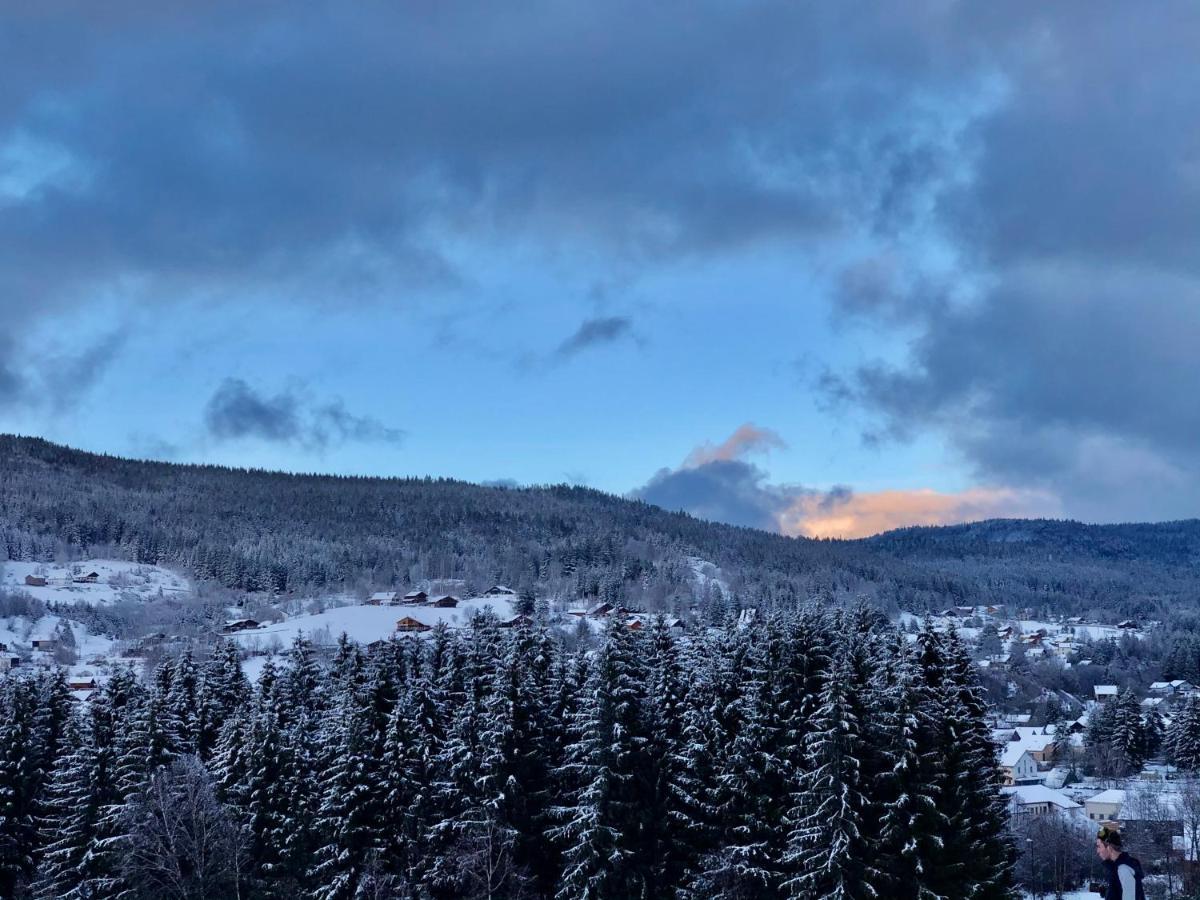 Le Bois des Neiges Charmant chalet authentique Proche Gérardmer Xonrupt-Longemer Extérieur photo